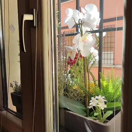 Konukevi Casa Aurora 4*