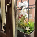 Гостевой дом Casa Aurora 4*