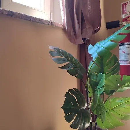 R&b Casa Aurora
