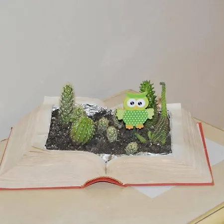 Casa Aurora بيت ضيافة