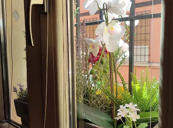 Vendégház Casa Aurora 4*